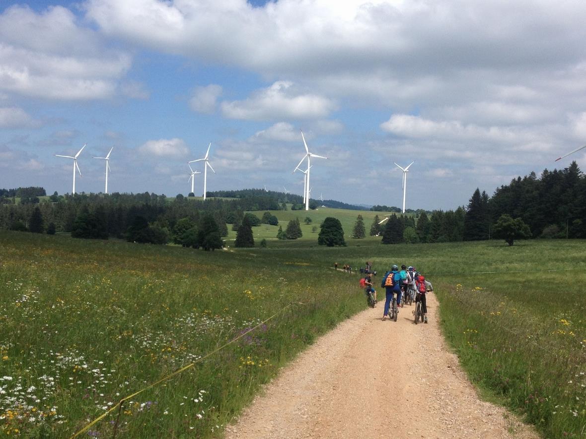 Die Windkraftwerke sind schon von Weitem zu sehen.