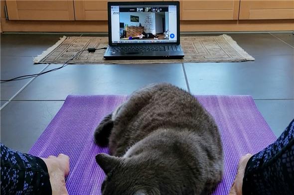 Die Yoga-Stunden der VHS mussten auf Zoom verlegt werden, was in der Pandemie von vielen Kursbesuchenden genutzt und geschätzt wird – die Entspannungsübungen zum Abschluss wirken ganz offensichtlich auch so.