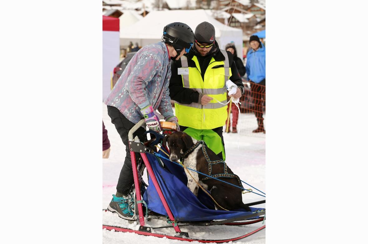 Die barmherzige Samariterin.