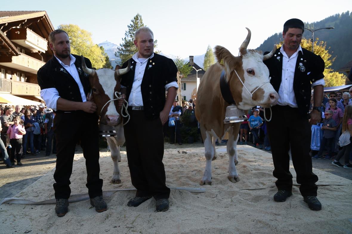 Die beiden Missen 2017 Links die Miss Holstein xxxxxxxx und rechts die Miss Simm...