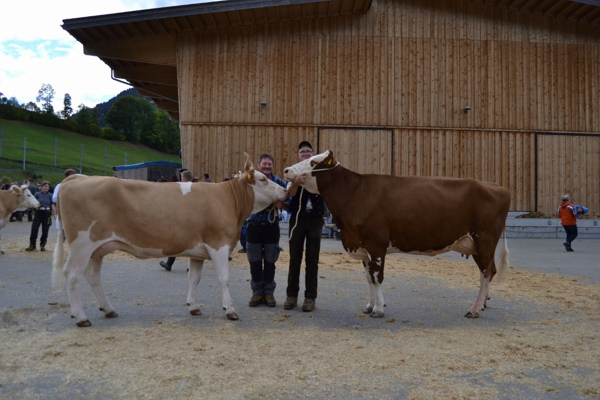 Die beiden Missen Herbst 2023: Platz Miss Amira (Klasse 5, 55 55 96) von Michael...