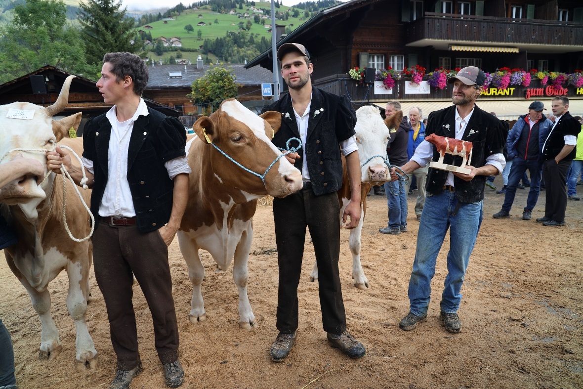 Die beiden Missen der Sektion SF, RH, HO.