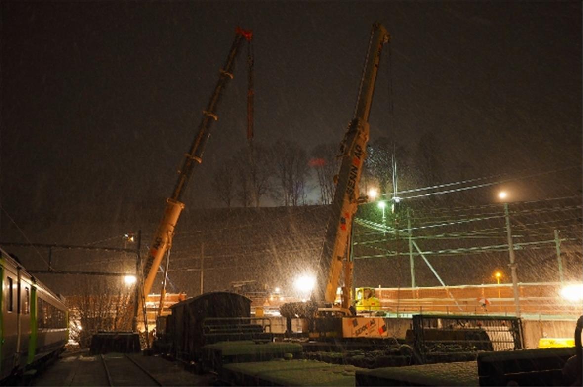 Die beiden grossen Kräne stehen bereit.