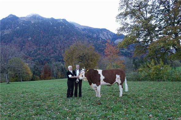 Die beiden stolzen Züchter vom reinrassigen Code 60-Simmentaler Muni «Lord»: Peter Kappeler (links) aus Reutigen und Hans Minnig aus Wimmis.
