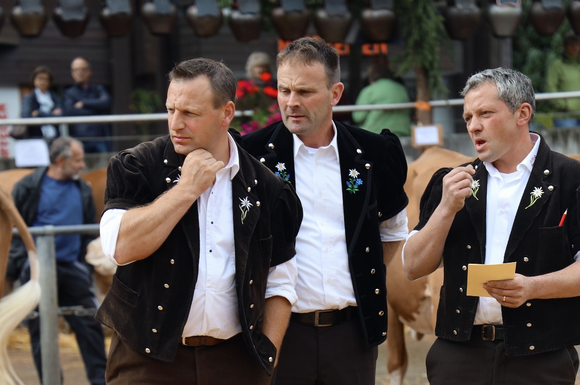 Die drei Experten der Bernischen Schaukommission Roland Feuz, Bernhard Rieser un...