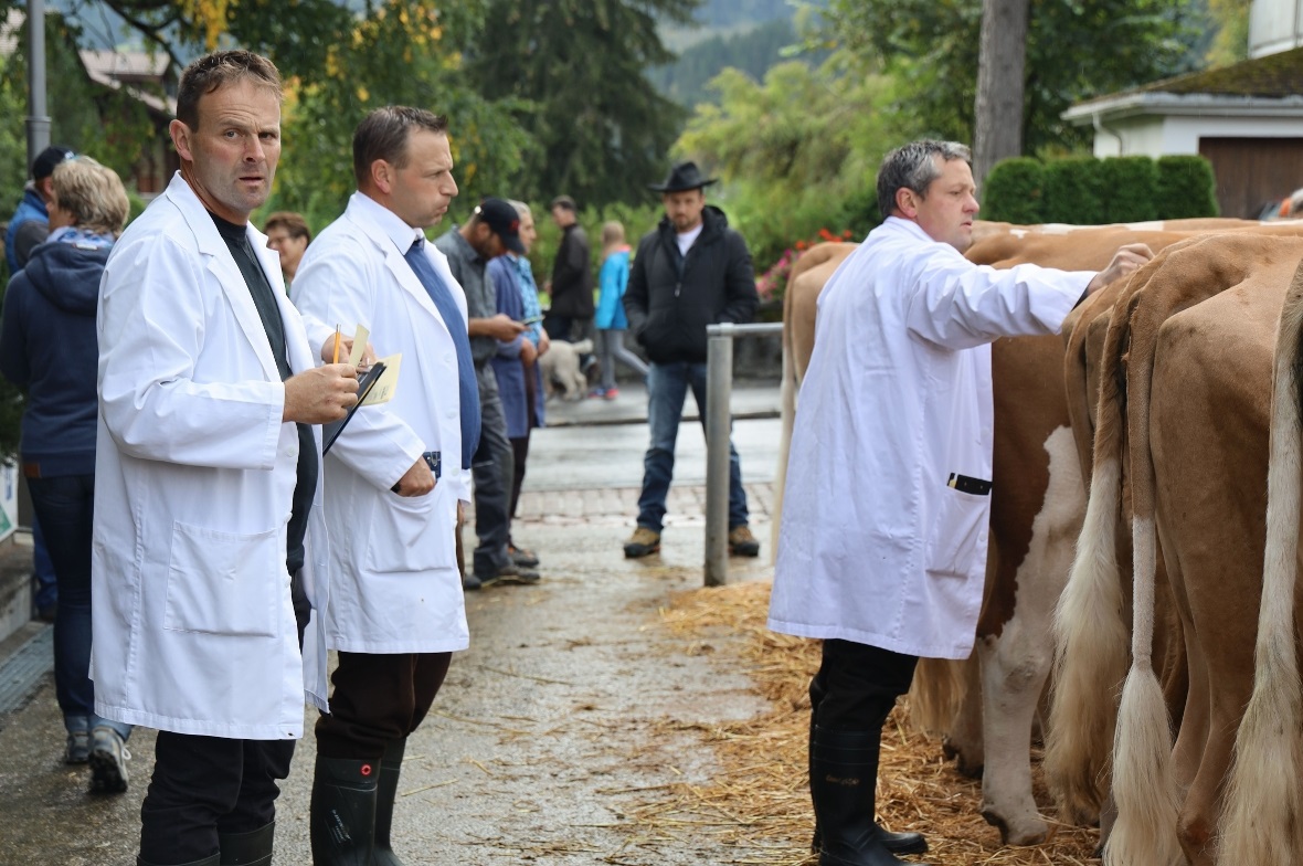 Die drei Experten der Bernischen Schaukommission Roland Feuz, Bernhard Rieser un...