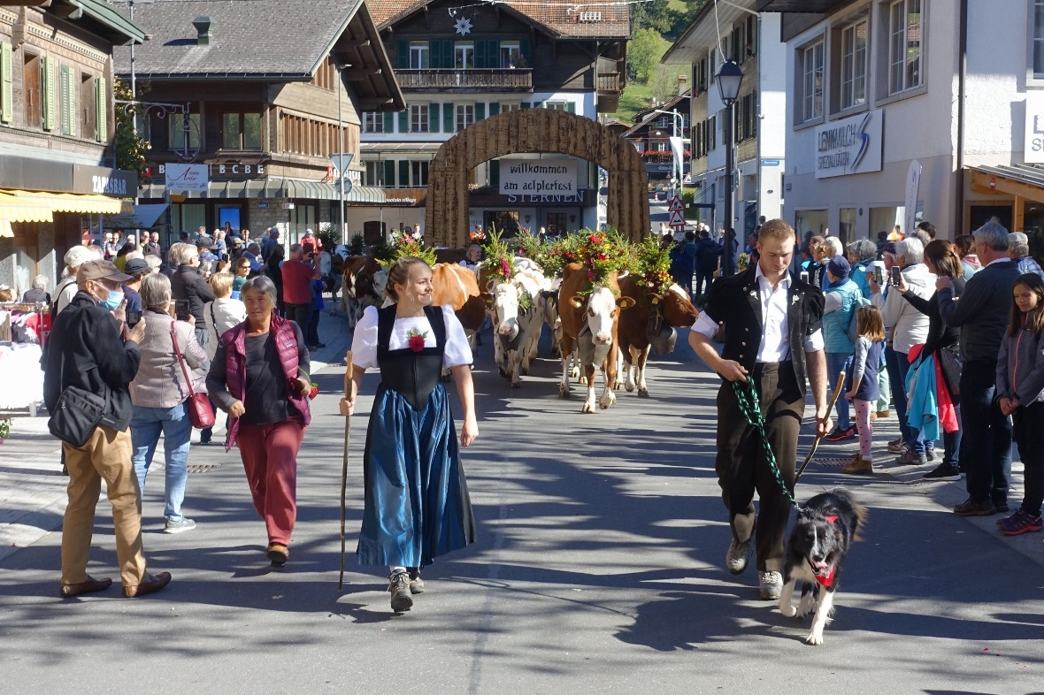 Die einheimischen Trachten sowie Hunde, Ziegen, Esel und Fahrzeuge machten die Z...