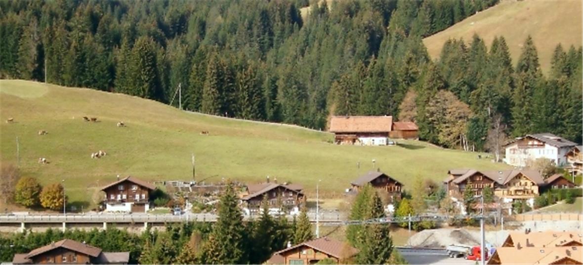 Verwaltungsrat sagt ja zum Standort Saanenmöser Die favorisierte Variante nördlich der Parzelle Nr. 584 an der Bergmattenstrasse.