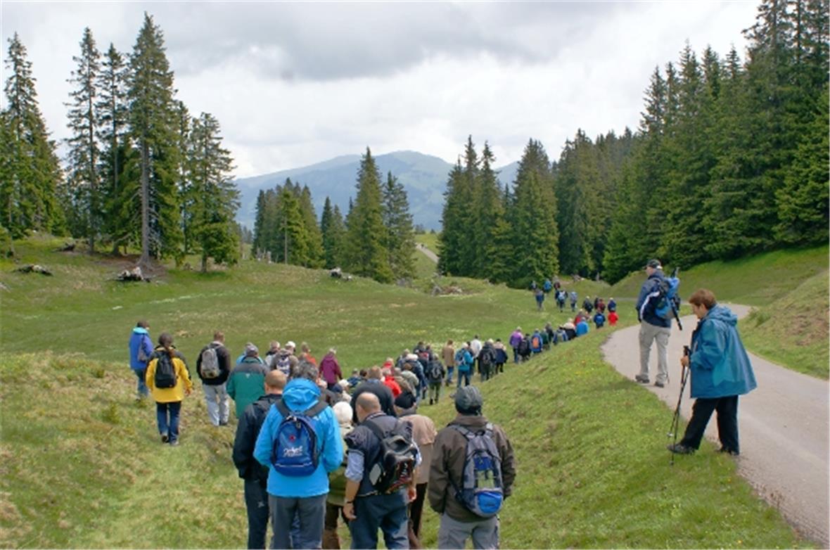 Die grosse Schar der SAV-Gäste auf dem Moorweg von der Schiltenegg zur Site-Alp.