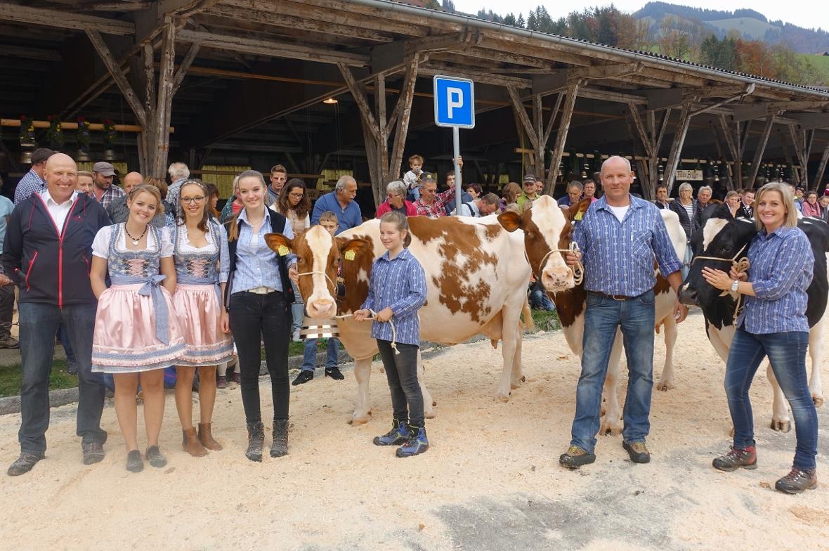 Die heimlichen Stars der Jubiläumsschau: Die Kühe Avenche, Grace und Glarona vom...