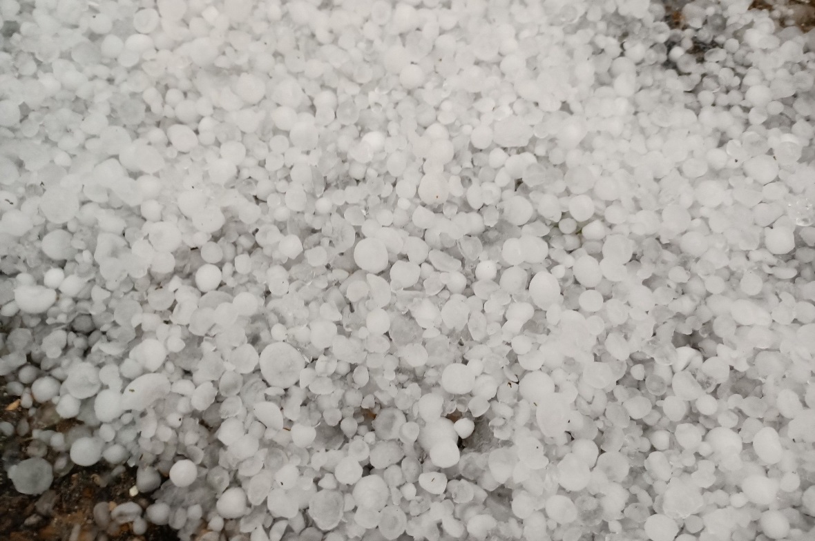 Die kleinen Hagelkörner richteten nur geringe Schäden an.