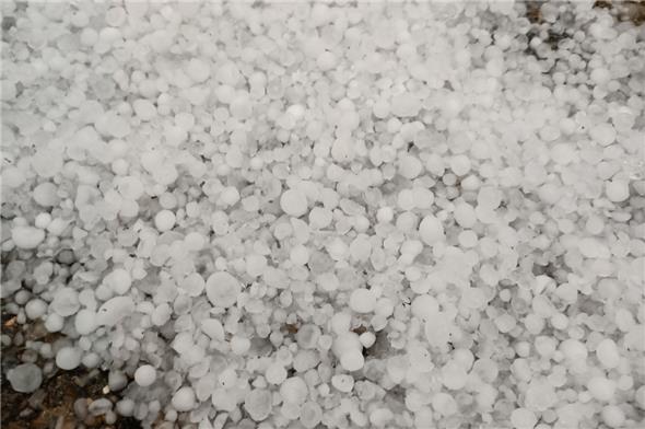 Die kleinen Hagelkörner richteten nur geringe Schäden an.