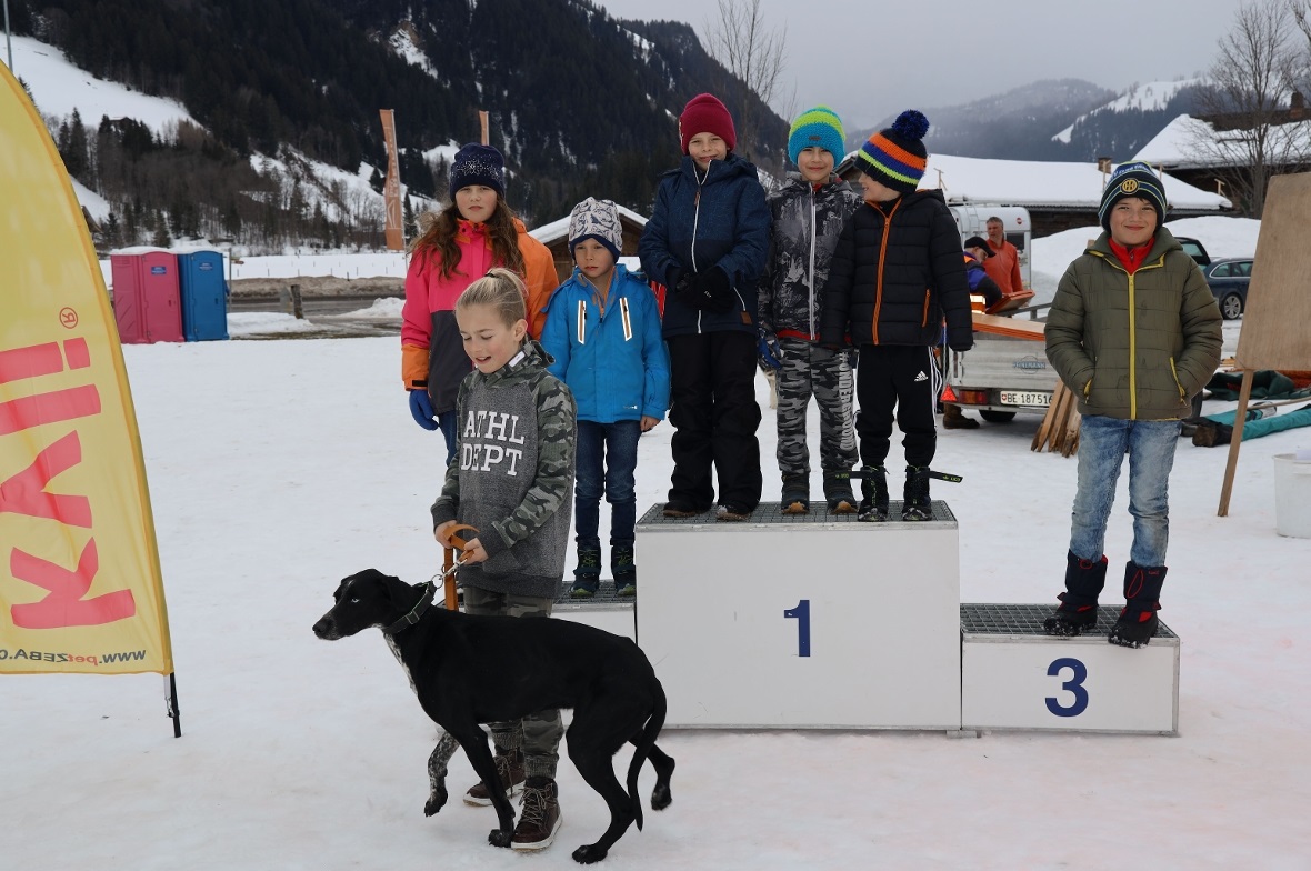 Die kleinen Musher: Alle sind Gewinner