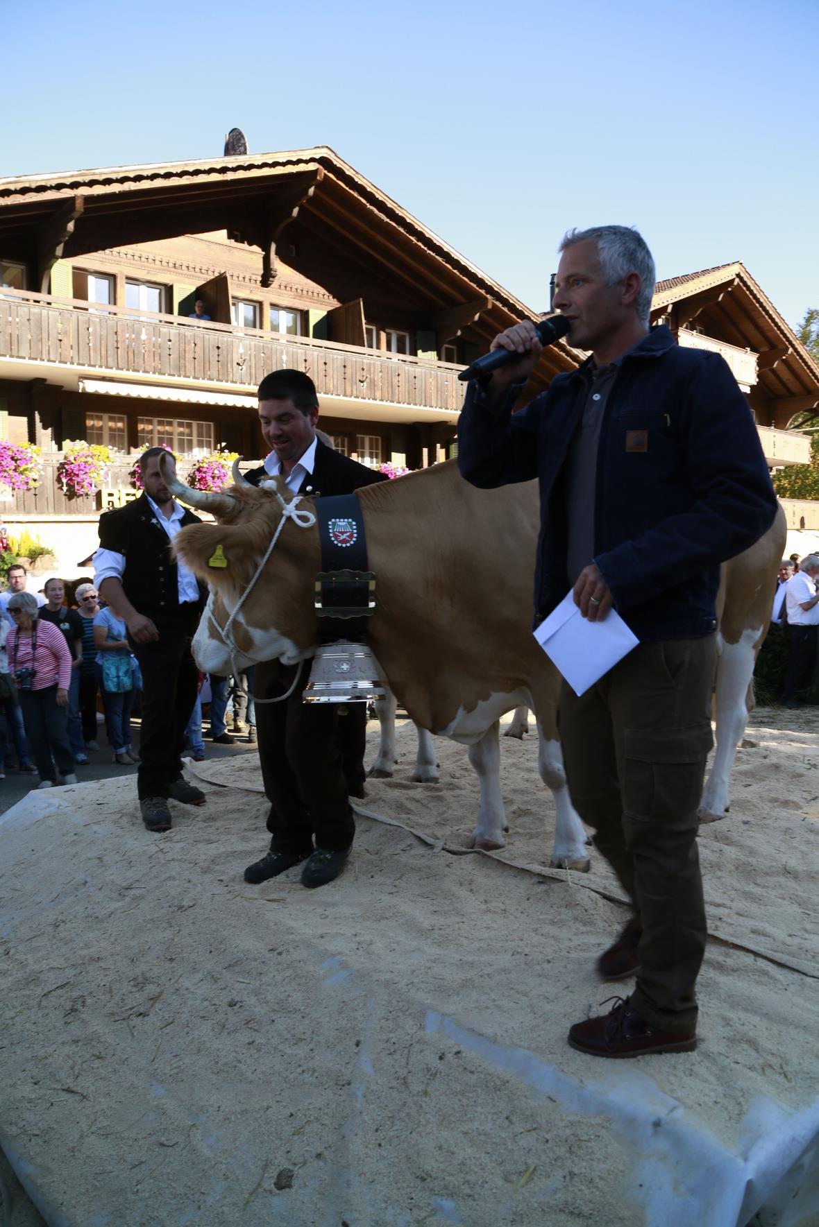 Die neue Miss Lenk heisst Kastanie, ihr stolzer Besitzer ist Markus Marmet.Der D...