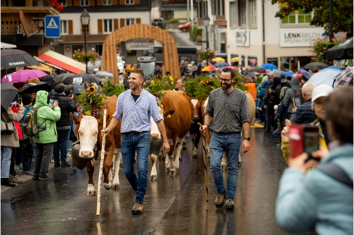 Die prächtig geschmückten Tiere begeisterten das Publikum aus nah und fern.