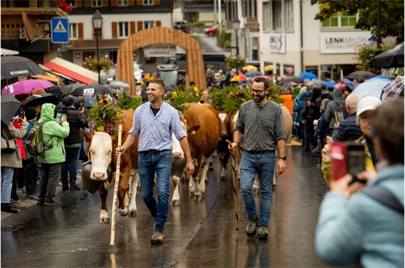 Die prächtig geschmückten Tiere begeisterten das Publikum aus nah und fern.