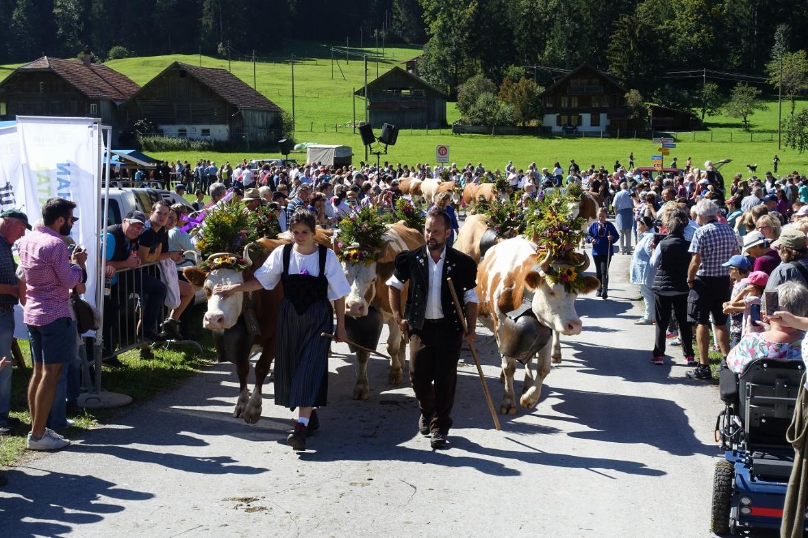 Die prächtige Züglete vom Zigerritz wurde im Talboden vom Publikum begrüsst.