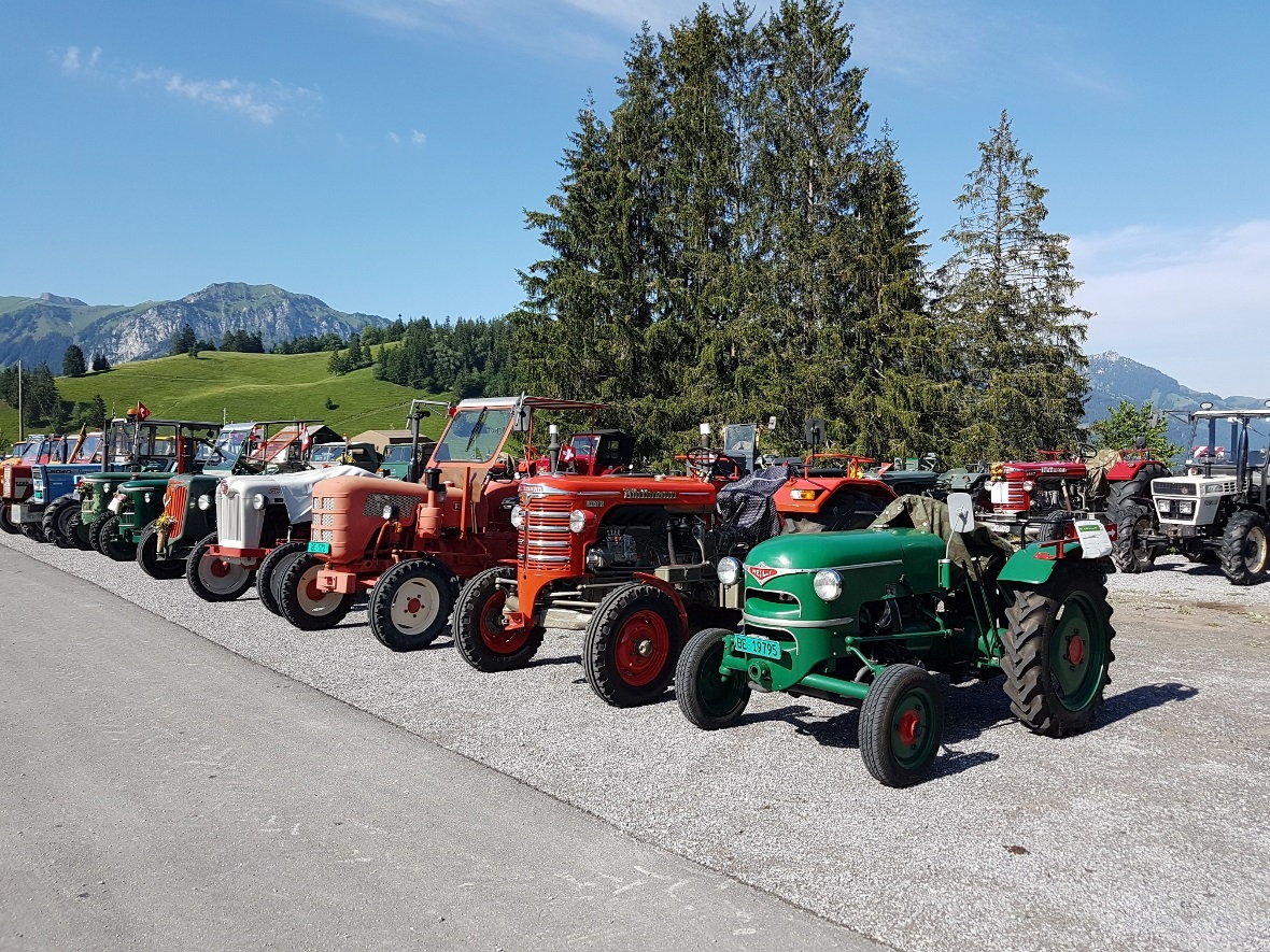 Die schönen Oldtimer.