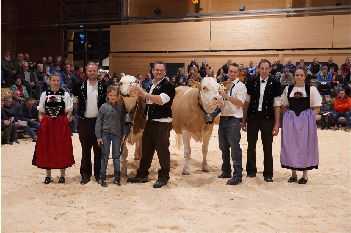 Die schönsten Kühe der Rasse Simmental sind: Flower von Fritz Niederhauser aus B...