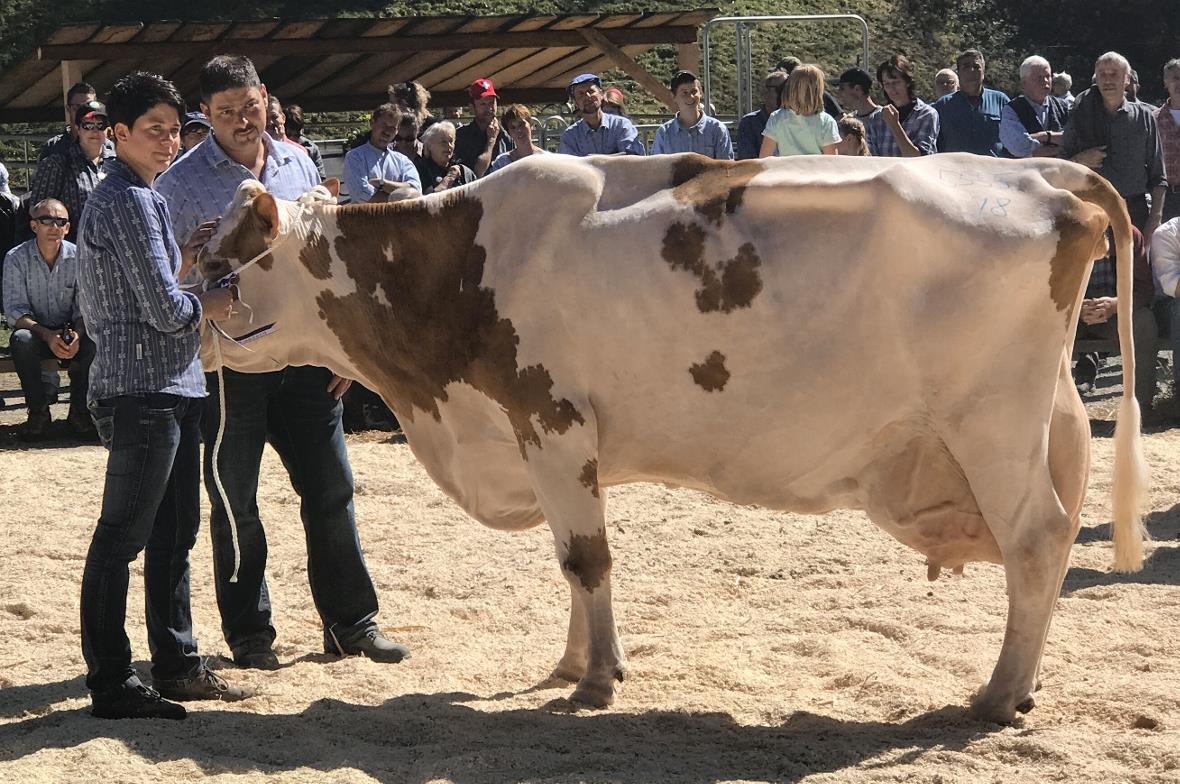 Die stolze 18-jährige Kuh Luzia mit ihren Besitzern