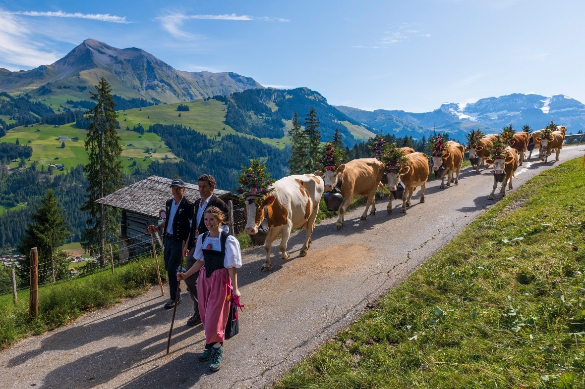 Die traditionelle Alpabfahrt in St. Stephan.