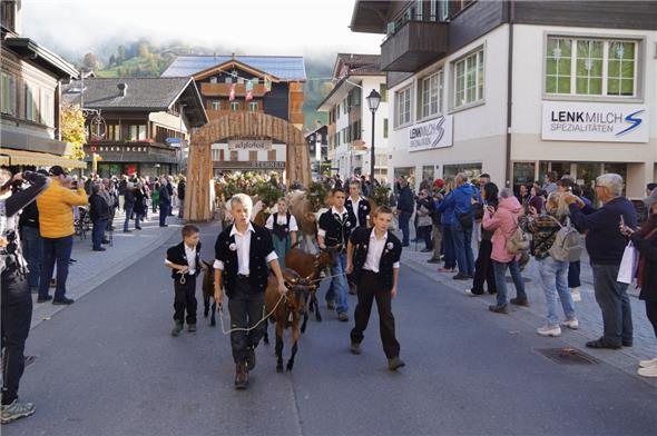 Die wunderbar geschmückten Tiere begeisterten Zuschauerinnen und Zuschauer aus nah und fern.