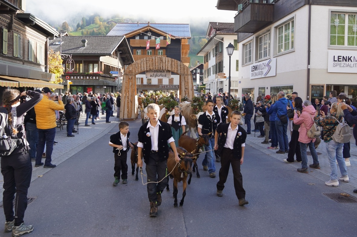 Die wunderbar geschmückten Tiere begeisterten Zuschauerinnen und Zuschauer aus N...