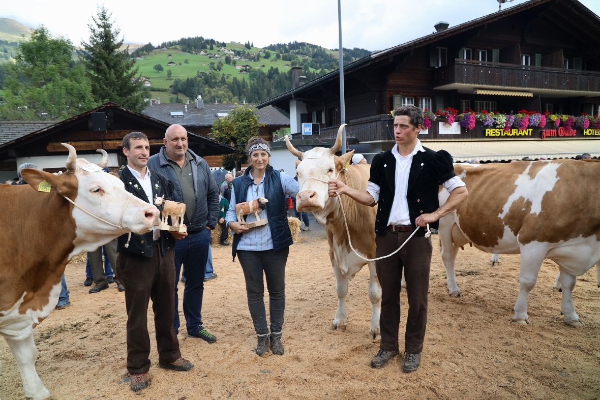 Die zwei Simmentaler Missen mit ihren Züchtern und dem Sponsor.