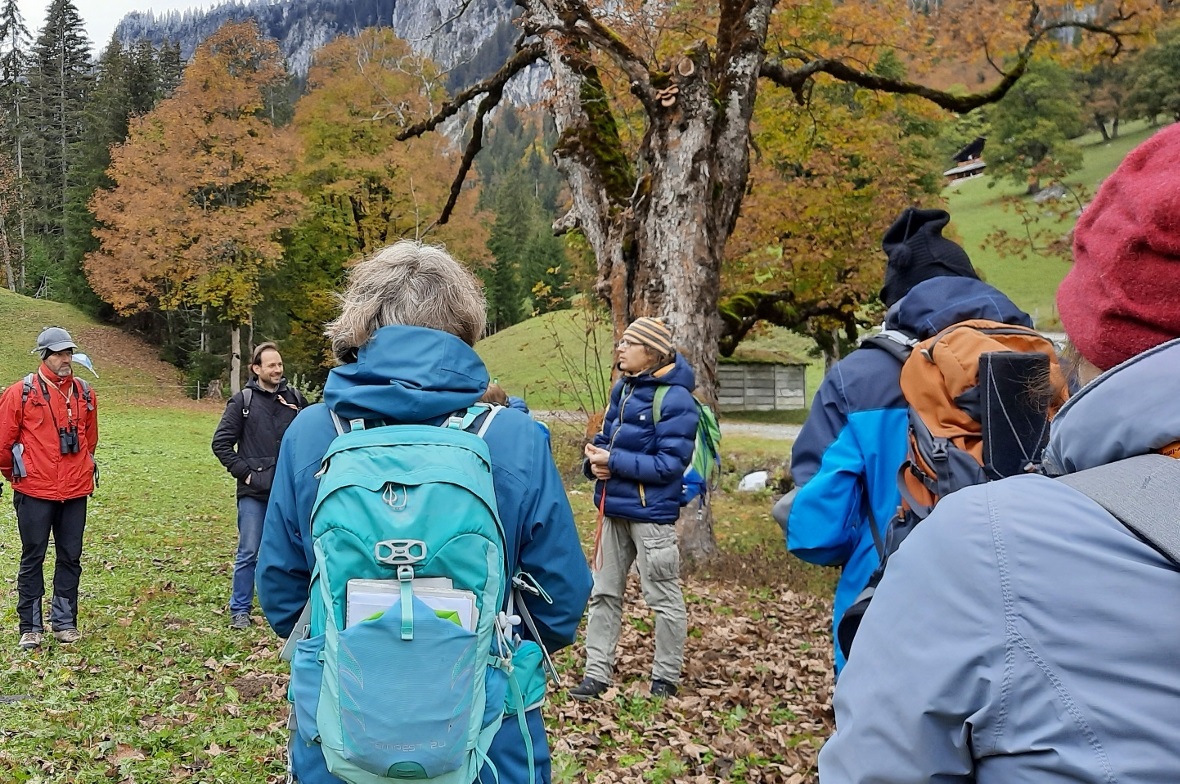 Unterwegs durch die Bergahornlandschaft im Meniggrund Dr. Thomas Kiebacher fesselt die Zuhörer mit viel Wissen und Engagement.
