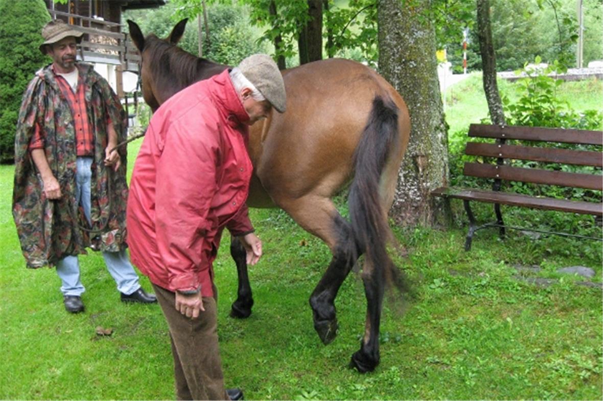 Dr. med. vet. Hanspeter Meier nimmt es genau.