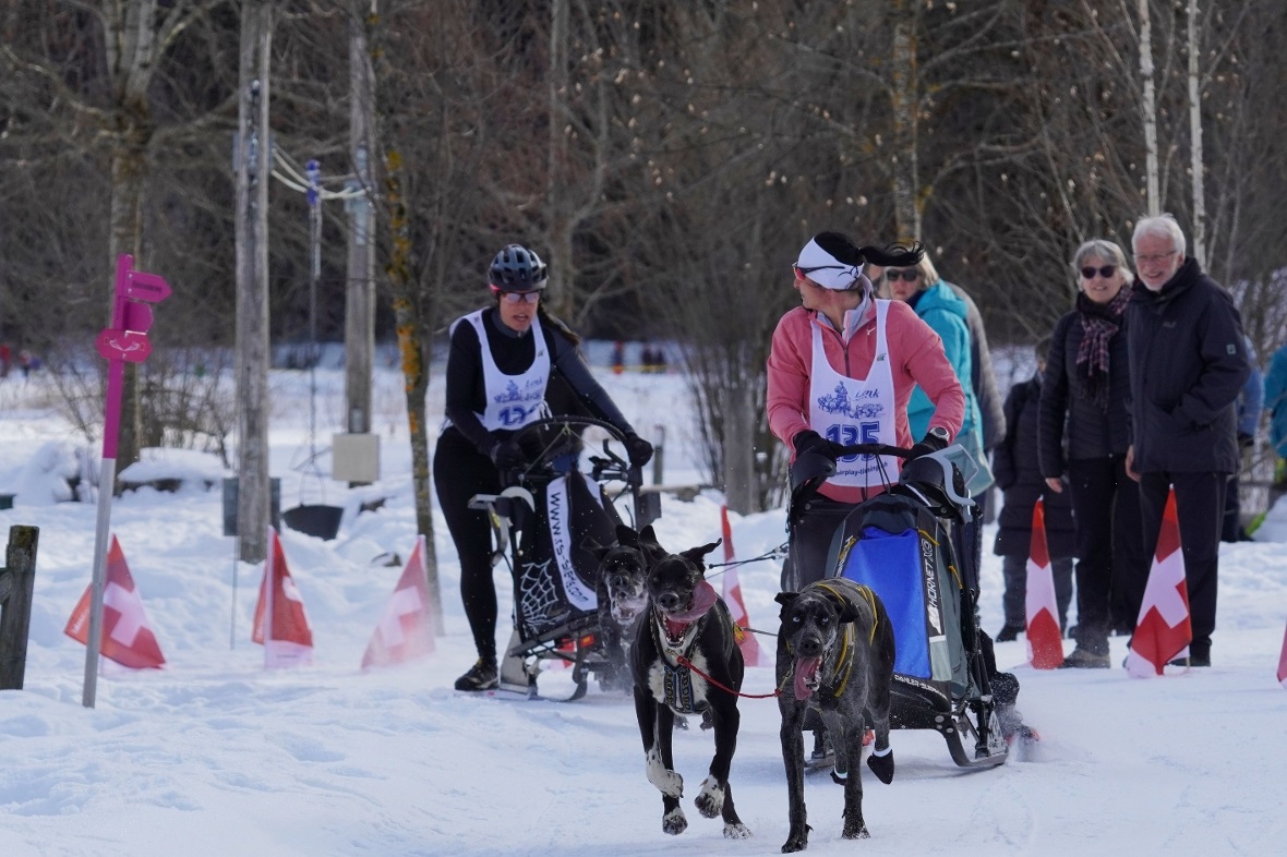 Durch den zeitversetzten Start wurde das Teilnehmerfeld entzerrt - trotzdem kam ...