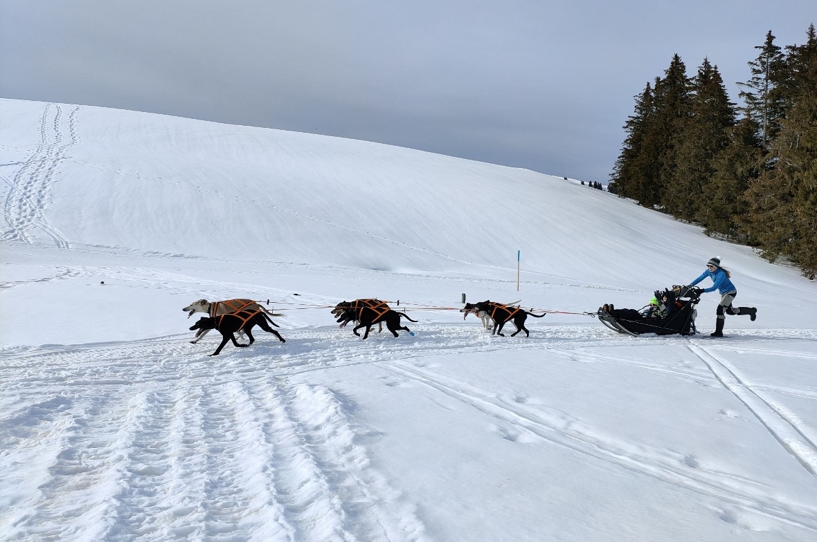 Durch verschneite Landschaften.