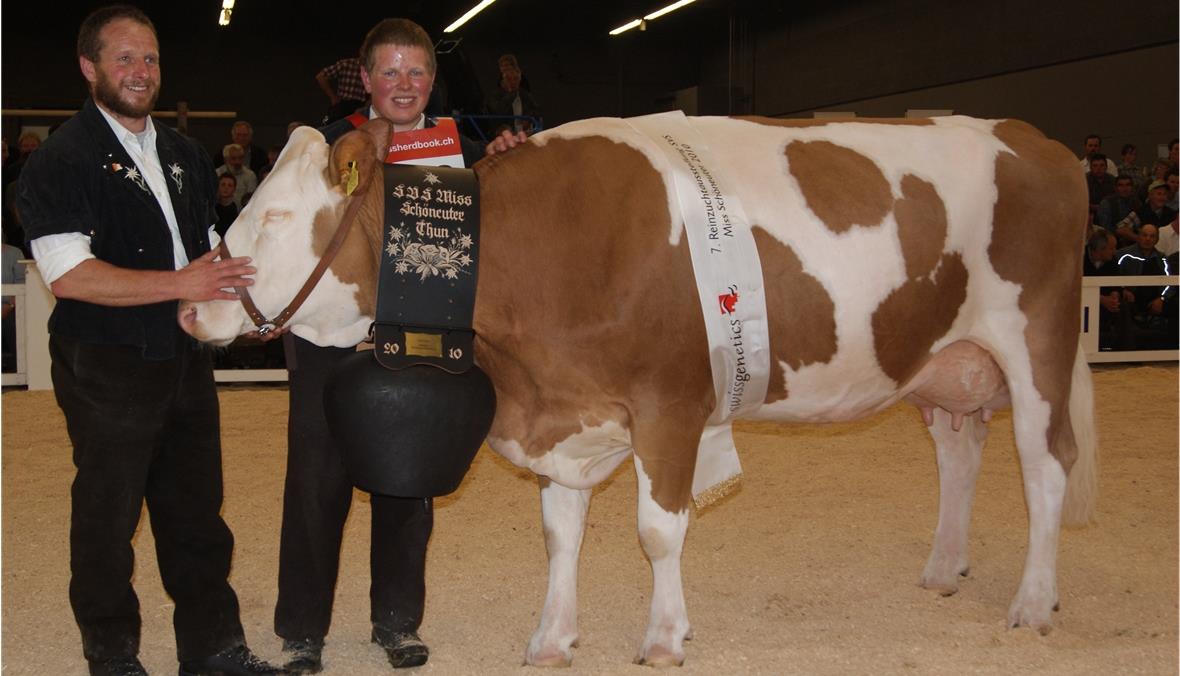 Kuh Marisa aus Matten (St.Stephan) ist Miss Schöneuter Edwin und Matthias Griessen, Matten freuen sich, dass ihre Kuh Marisa an der 7. Schweizer Reinzucht-Ausstellung in Thun den Schöneuter-Titel gewinnen konnte.