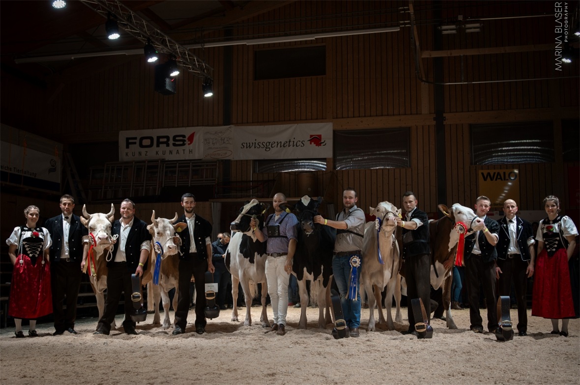 Eindrückliche Show mit Misswahlen Ehrendame Alexandra Iseli, Ringmann Stefan Rufener, Miss Schöneuter Simmental, Miss Simmental, Miss RH/Ho, Miss Schöneuter RH/Ho, Miss SF Schöneuter, Miss SF mit Besitzern, Richter Peter Brügger sowie Ehrendame Myriam Zurbuchen.