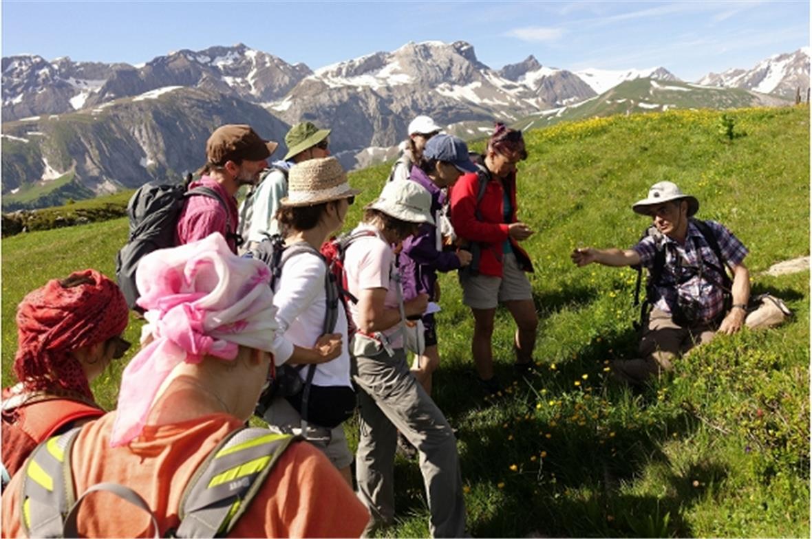 Eifrig wurden Kräuter und Pflanzen gesammelt, die an der abendlichen Zusammenkunft mit den interessierten Kursteilnehmern im Hotel Alpenruh nochmals repetiert werden konnten.