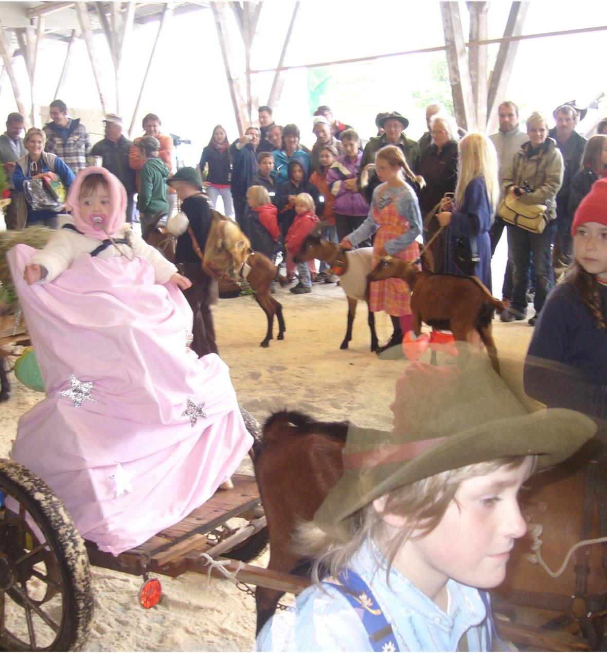 Jubiläumsschau der gemsfarbigen Gebirgsziegen Ein Bild des Kinderwettbewerb