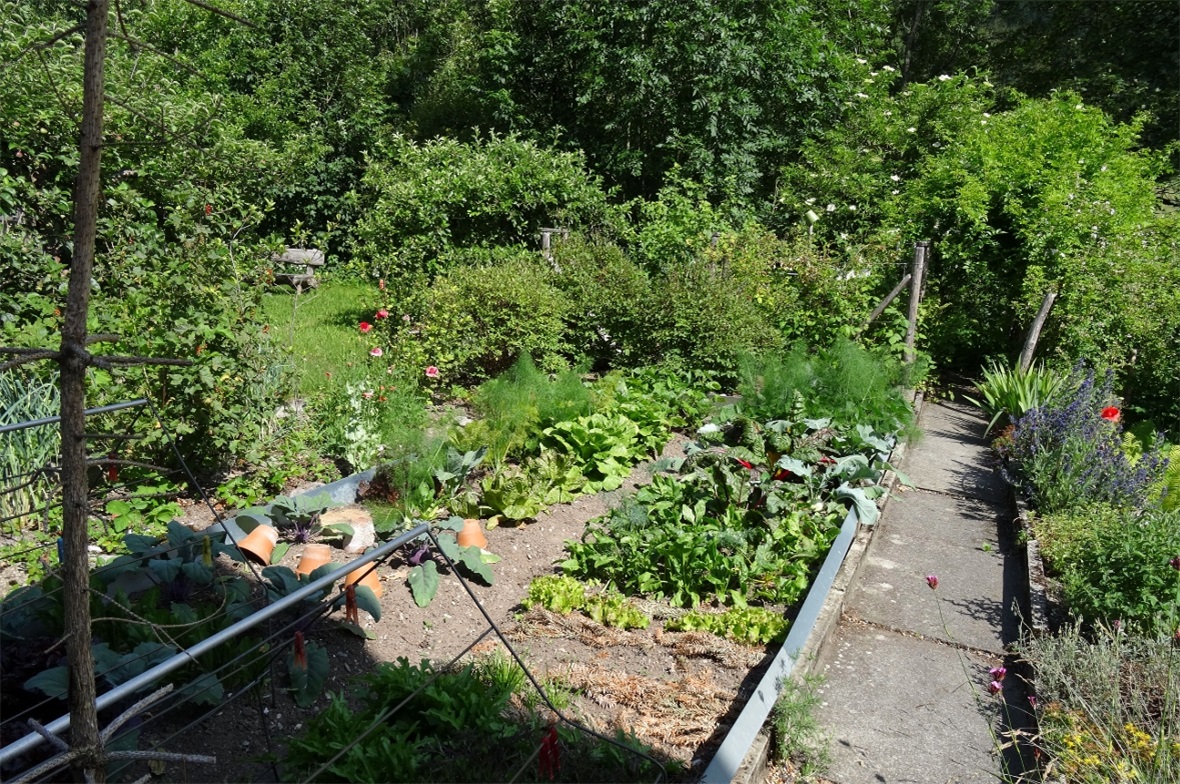 Ein Gemüsegarten.