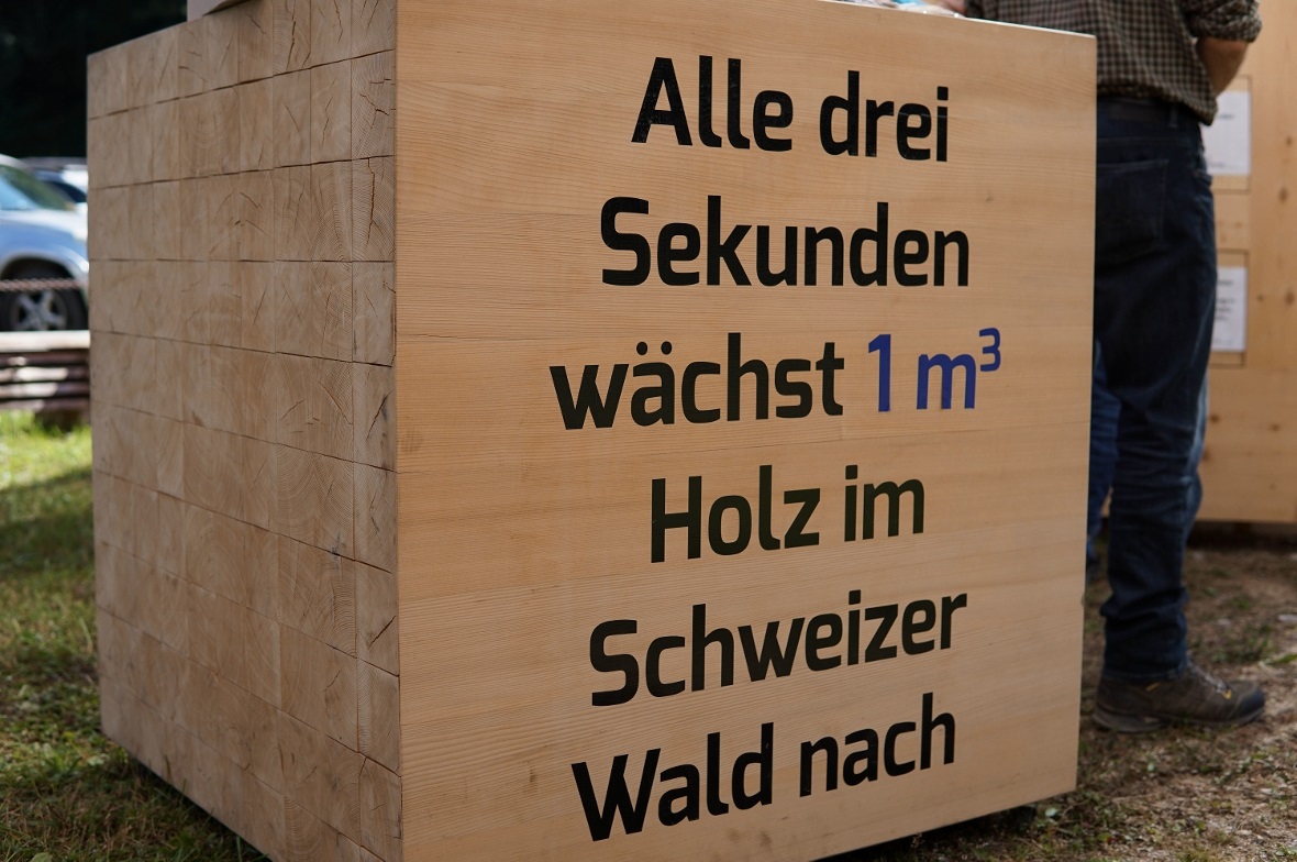 Ein Kubikmeter Schweizer Holz – in drei Sekunden nachgewachsen.