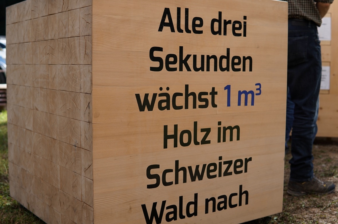 Ein Kubikmeter Schweizer Holz - in drei Sekunden nachgewachsen.