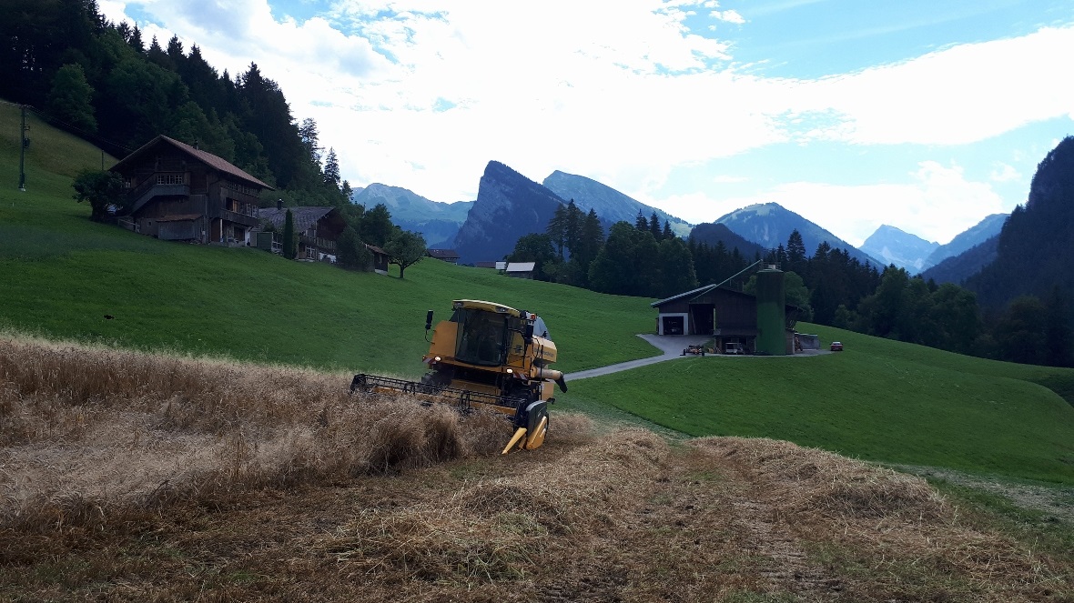 Ein Mähdrescher in Aktion im Naturpark Diemtigtal.