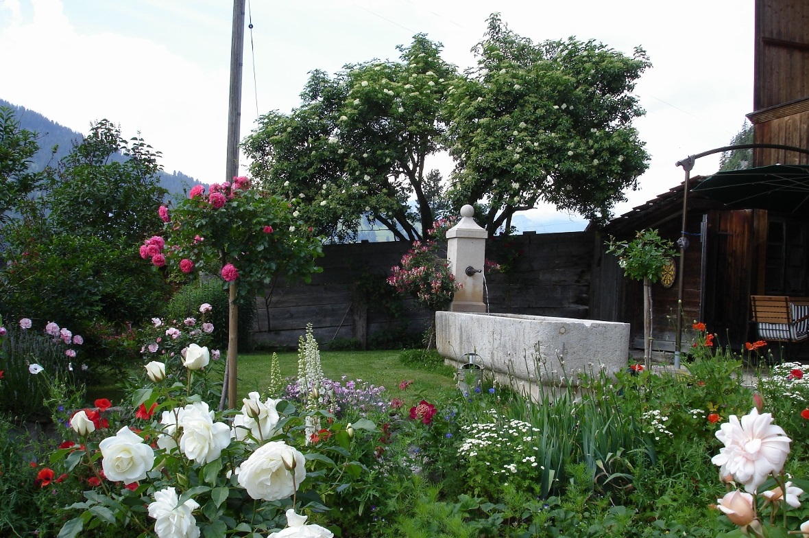 Ein Rosenbäumchen-Garten mit Brunnen im Hintergrund.