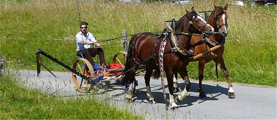 Ein Ross-Mähmaschine aus dem Jahr 1925. Sie bedeutete Schwerstarbeit für die Pferde – grosse Arbeitserleichterung für den Bauern.