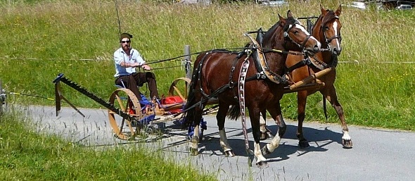 Ein Ross-Mähmaschine aus dem Jahr 1925. Sie bedeutete Schwerstarbeit für die Pferde – grosse Arbeitserleichterung für den Bauern.