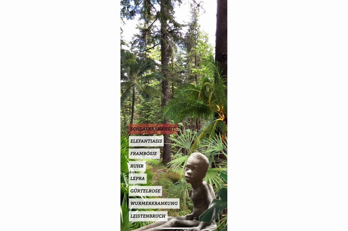 Ein Screenshot der neuen Naturpark-App für den Albert-Schweitzer-Weg.