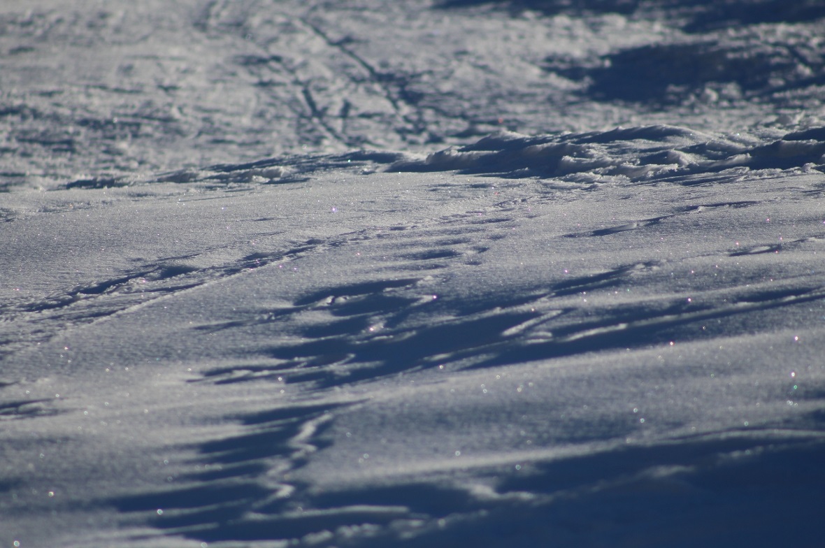 Ein Seitenblick nur: Im teils noch tiefen Schnee zeichneten die Spuren der Läufe...