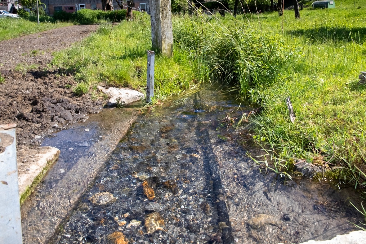 Ein Teil des Aubächlis, der aufgewertet werden soll.