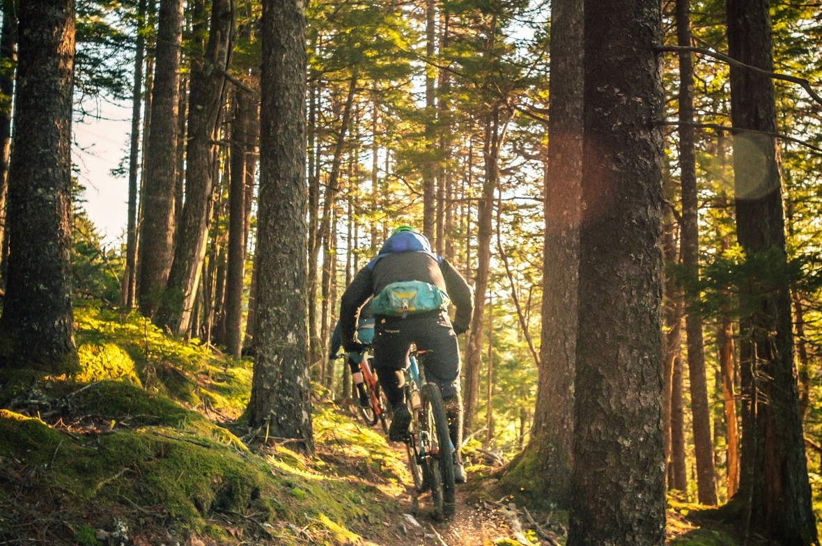 Ein attraktives MTB-Routennetz ist das Ziel in der Bergregion Obersimmental-Saanenland.