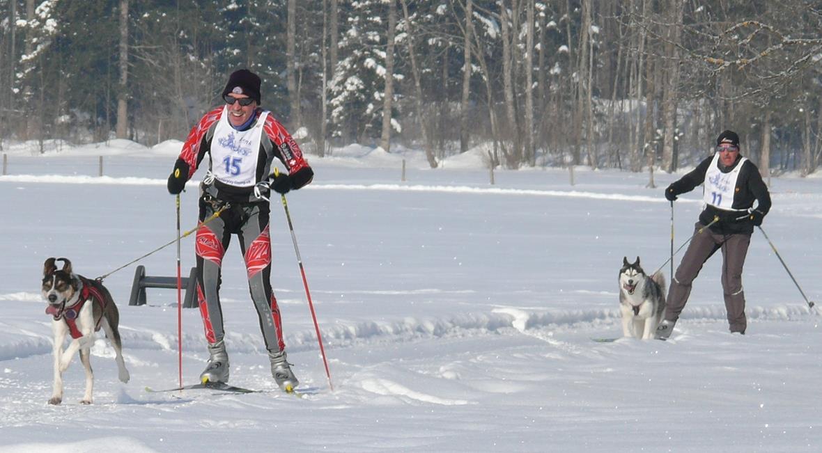 Ein fittes Duo: Bernhard Wenger aus Diemtigen (links) überholte mit seinem Hund in der Kategorie Skijöring ein Gespann.
