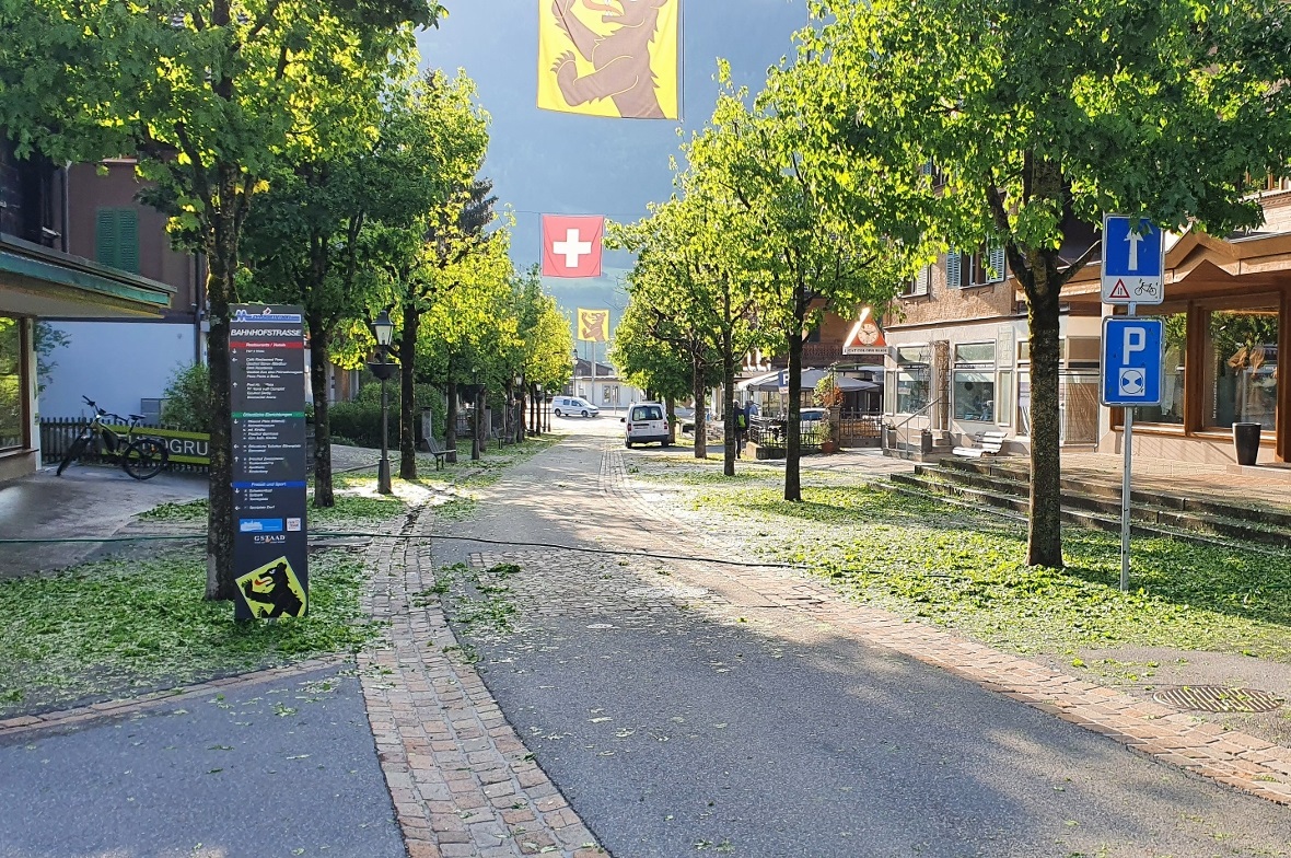 Ein grünes Blättermeer am Boden: Der Hagel hat die Bäume in der Zweisimmer Bahnh...