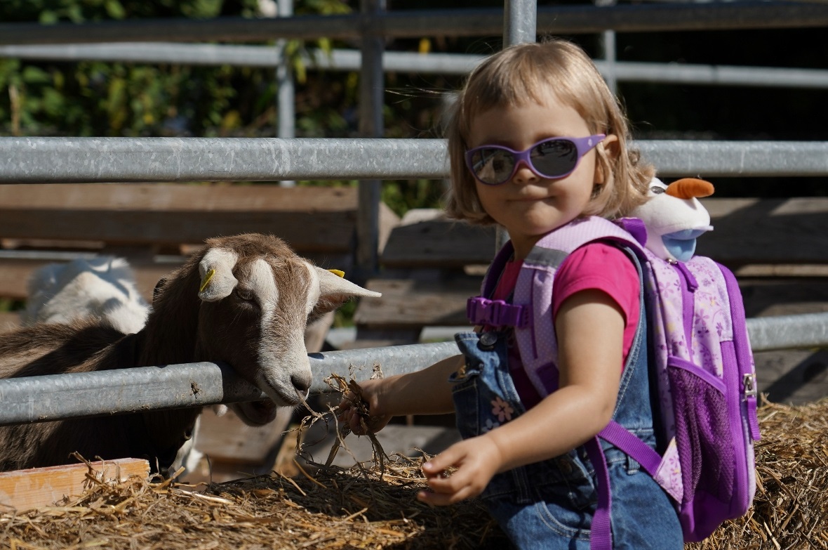 Ein guter Sonnenschutz war gefragt bei den Kleinen und Grossen.